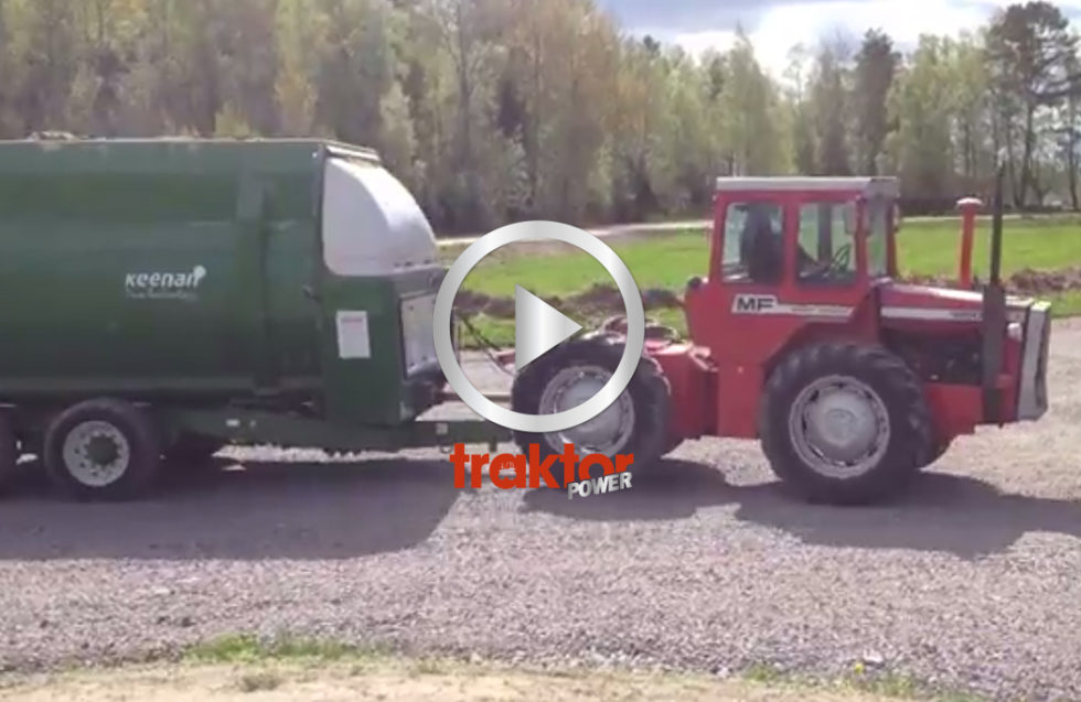 MF 1250-feber på gårdsplan